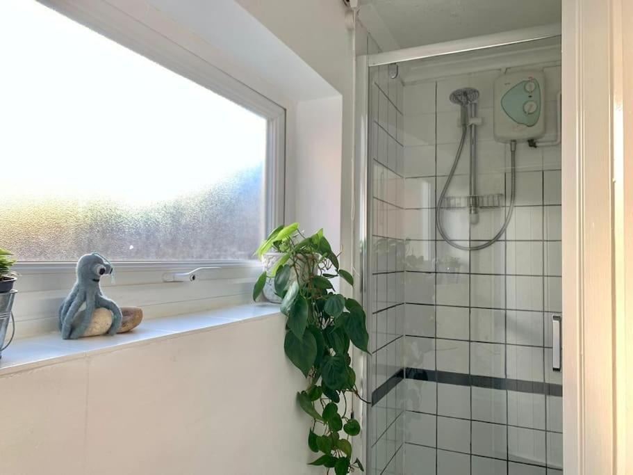 Cute Cottage 4 Mins From Cafes Station And Sea St Leonards-on-Sea Eksteriør billede